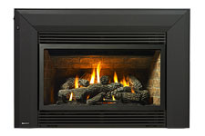 Energy Gas Fireplace Insert (U31-10) U31-10